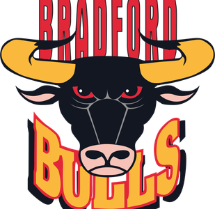 What League Are Bradford Bulls In